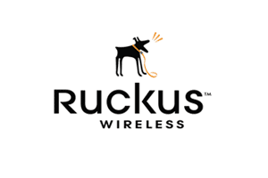 Security for Wi-Fi access points, cloud Wi-Fi and wireless devices.